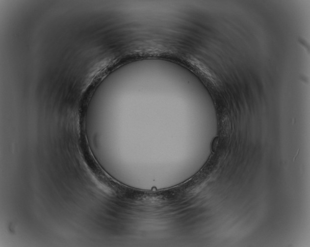 X0000093170638200709261056