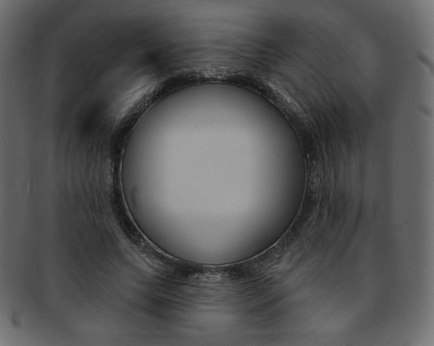 X0000093170639200709261056