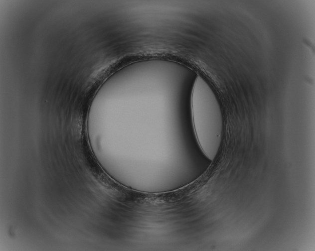 X0000093170640200709261056