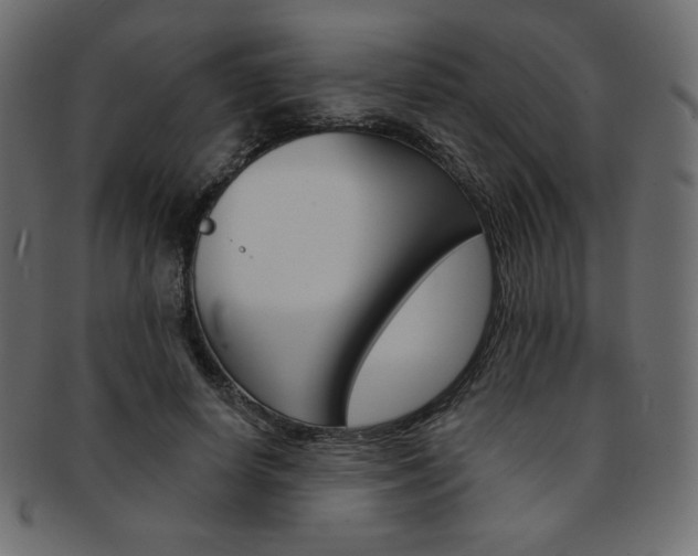 X0000093170642200709261056