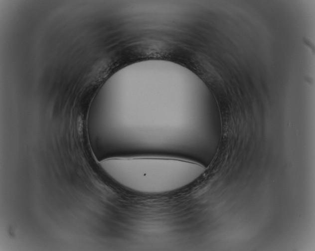 X0000093170646200709261056