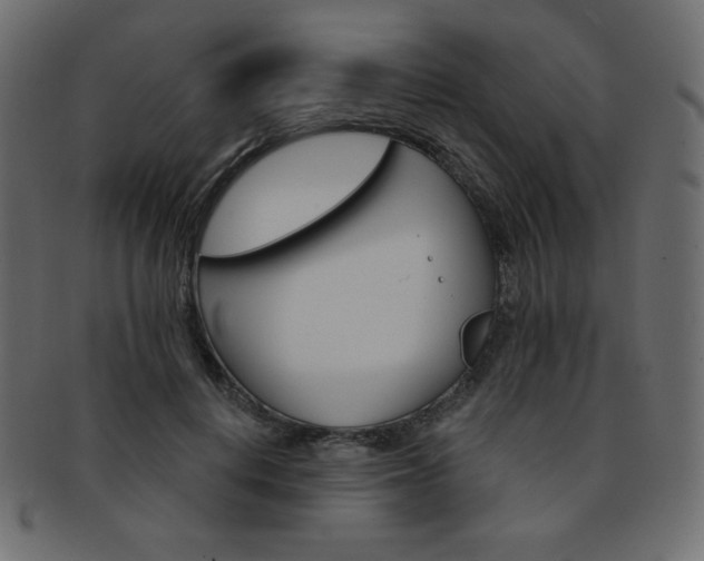 X0000093170648200709261056