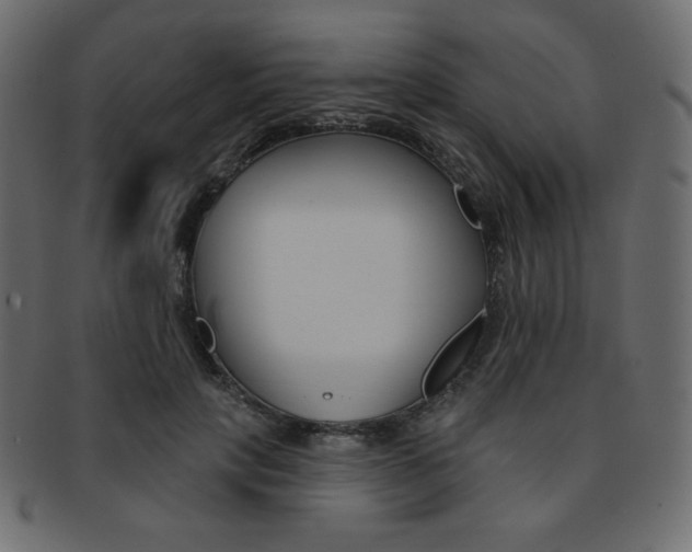 X0000093170649200709261056