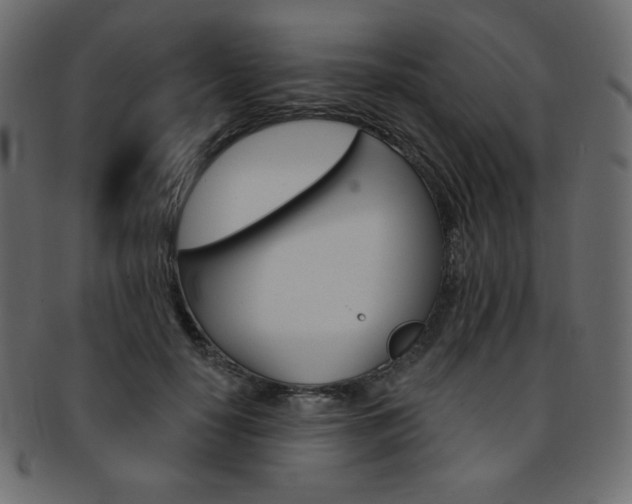 X0000093170650200709261056