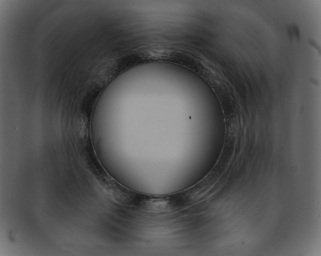 X0000093170651200709261056