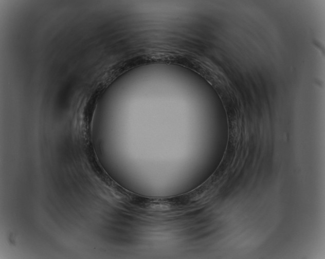 X0000093170653200709261056
