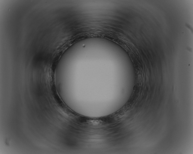 X0000093170654200709261056