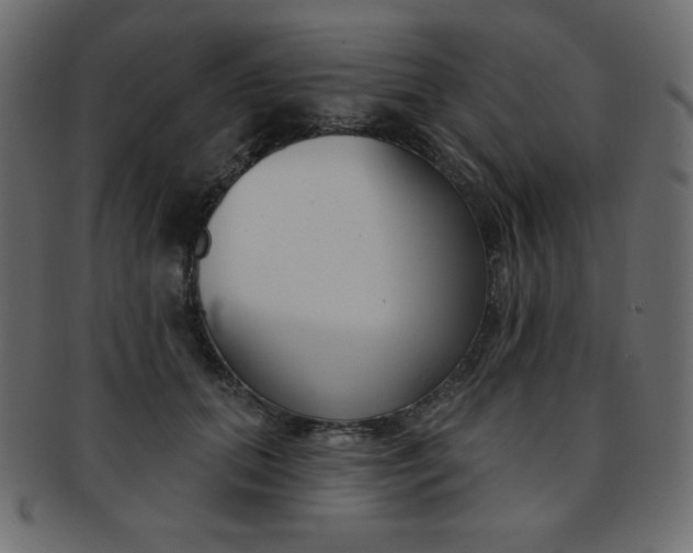 X0000093170655200709261056