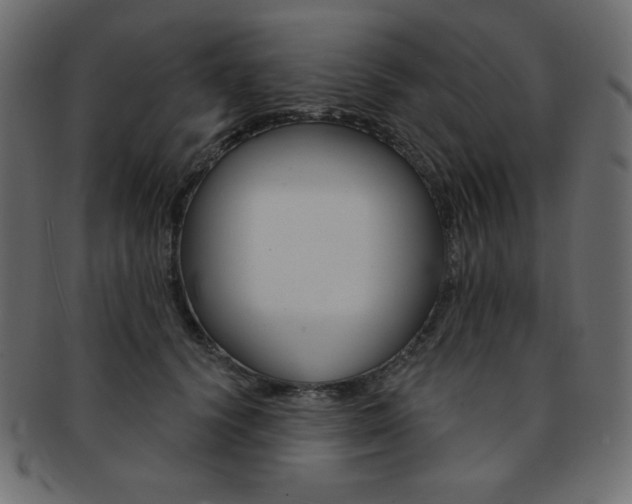 X0000093170656200709261057