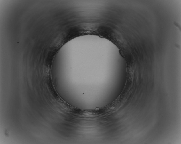 X0000093170657200709261057