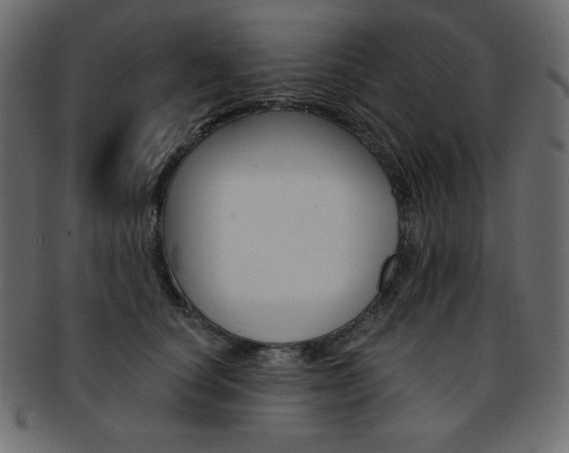 X0000093170660200709261057