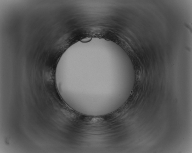 X0000093170663200709261057