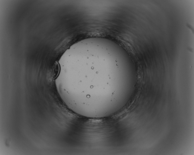X0000093170665200709261057