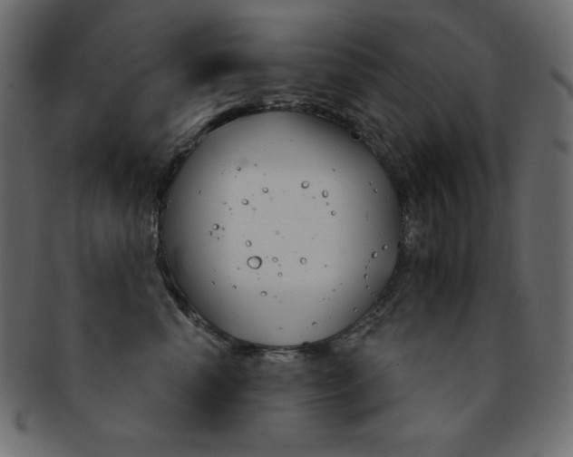 X0000093170666200709261057