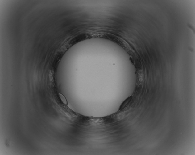 X0000093170667200709261057