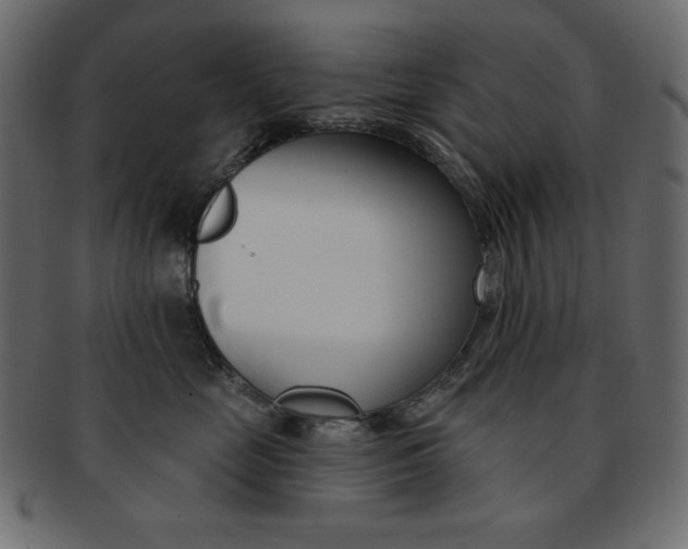 X0000093170669200709261057