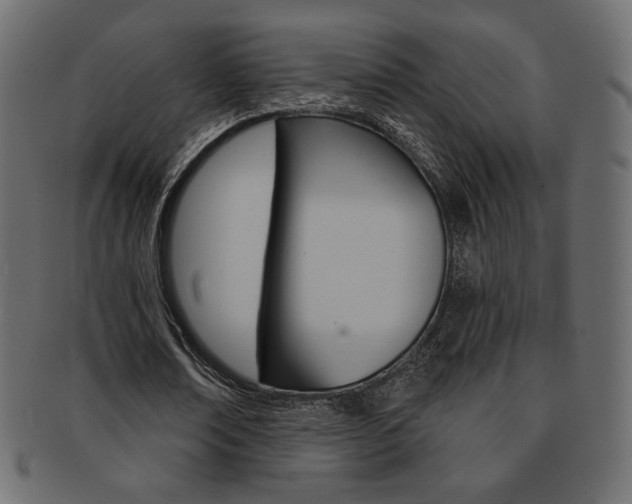 X0000093170674200709261056