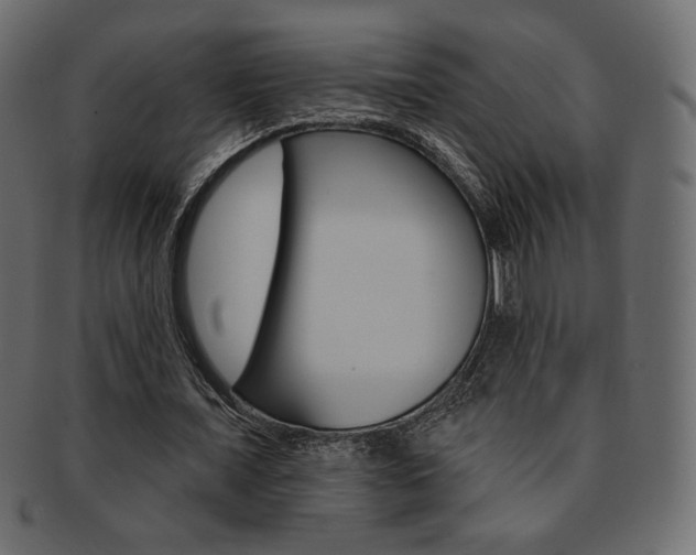 X0000093170675200709261056