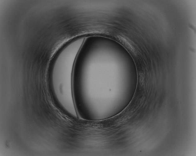 X0000093170676200709261056