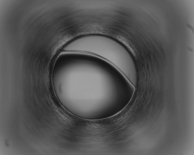 X0000093170677200709261056
