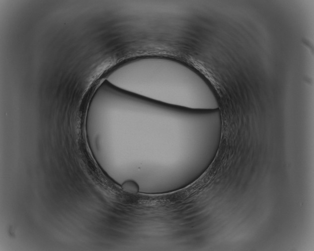 X0000093170679200709261056