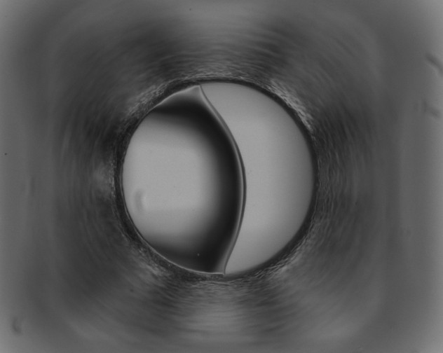 X0000093170681200709261056