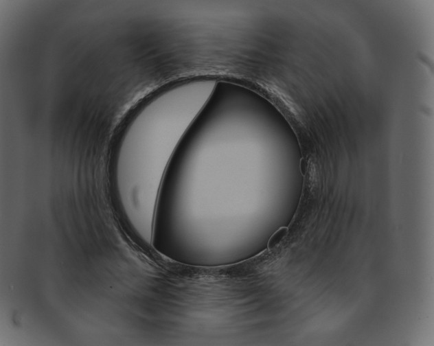 X0000093170684200709261056