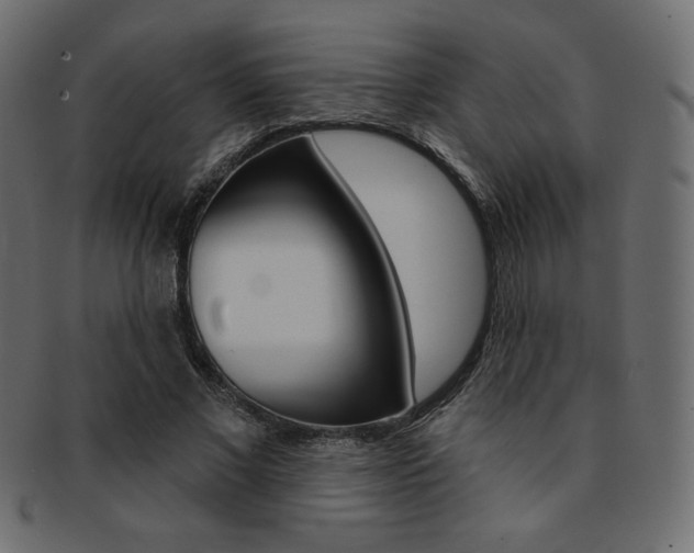 X0000093170685200709261056