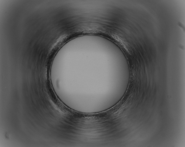 X0000093170686200709261056