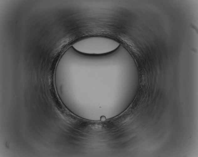 X0000093170687200709261056
