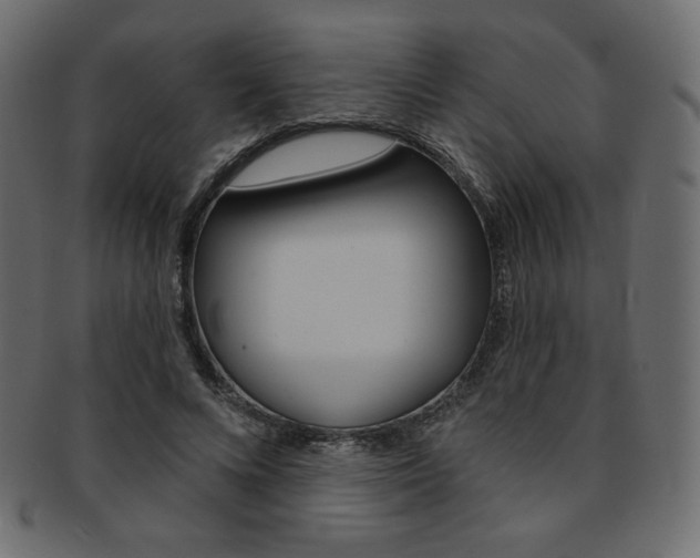 X0000093170688200709261056