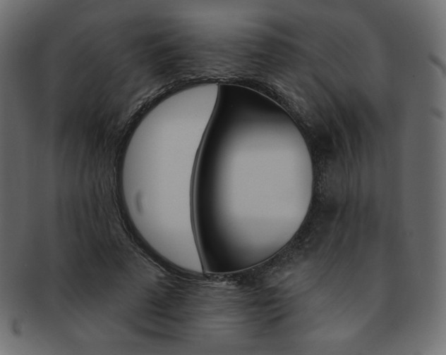 X0000093170689200709261056