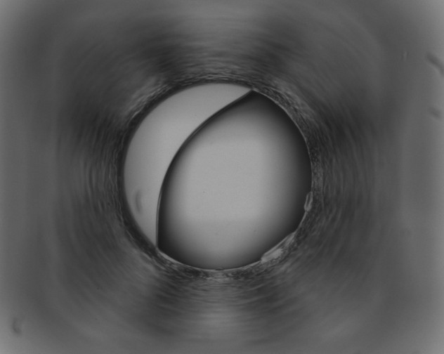 X0000093170696200709261056