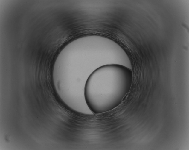 X0000093170700200709261056