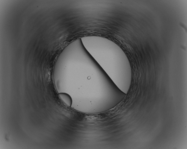 X0000093170703200709261056