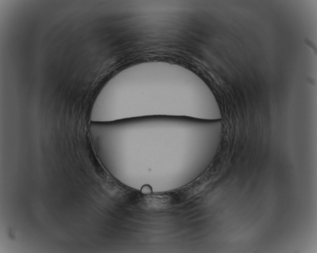 X0000093170707200709261056