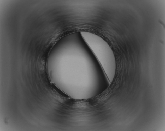 X0000093170708200709261056