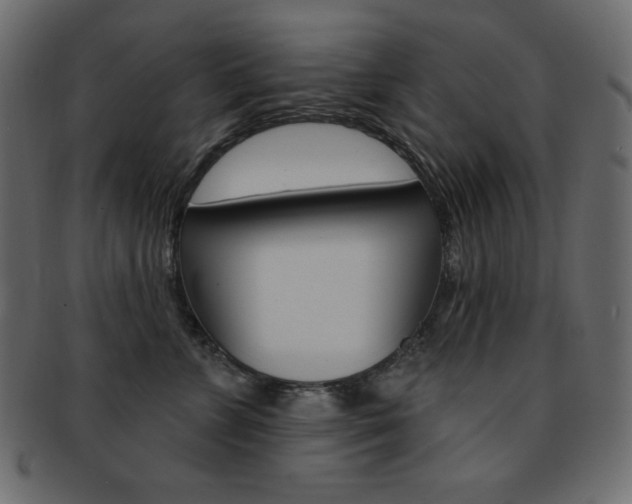 X0000093170715200709261055