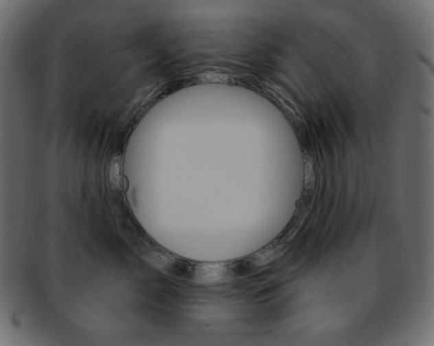 X0000093170717200709261055
