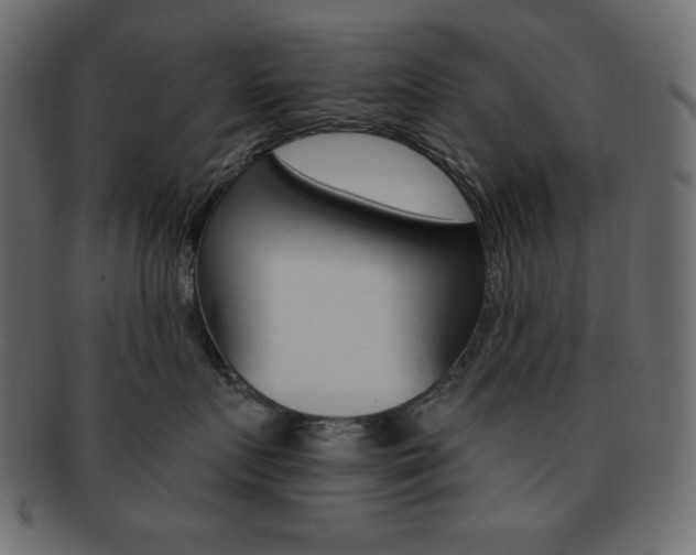 X0000093170719200709261055