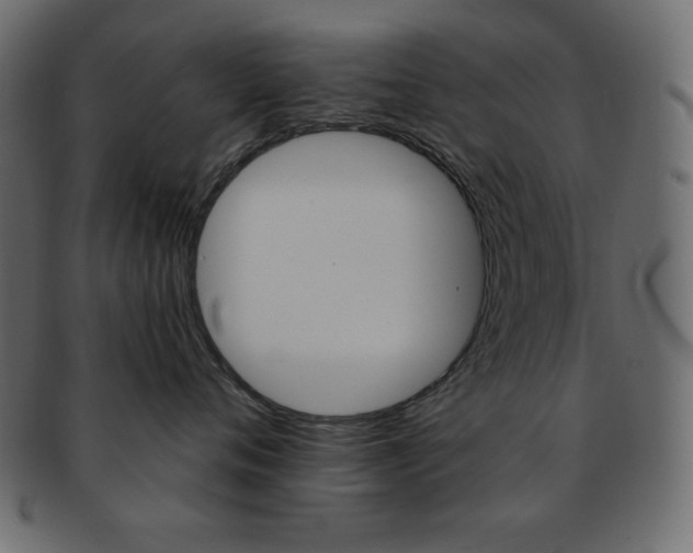X0000093170720200709261055