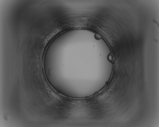 X0000093170721200709261055