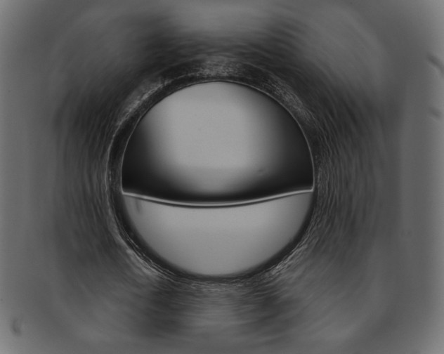X0000093170722200709261055
