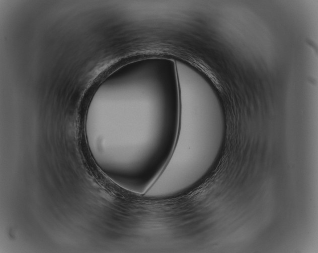 X0000093170724200709261055