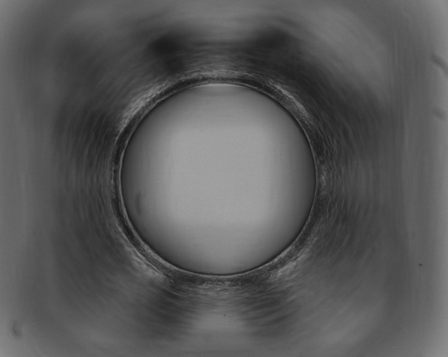 X0000093170725200709261055