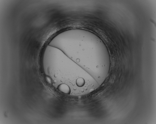 X0000093170727200709261055