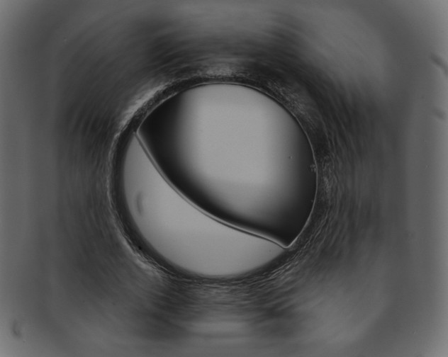 X0000093170728200709261055