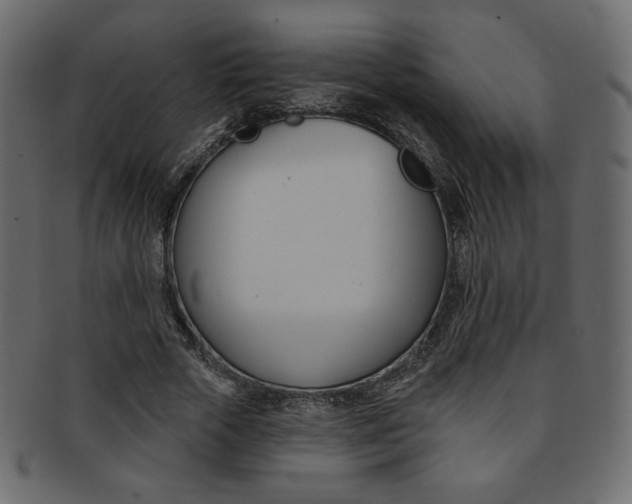 X0000093170729200709261055