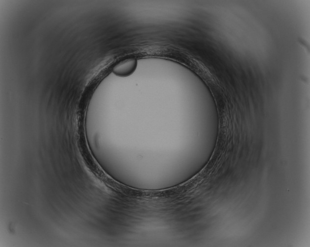 X0000093170730200709261055