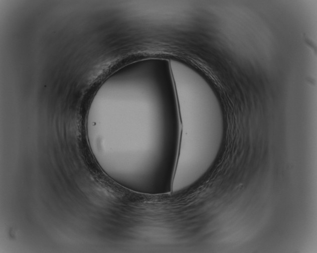 X0000093170732200709261055